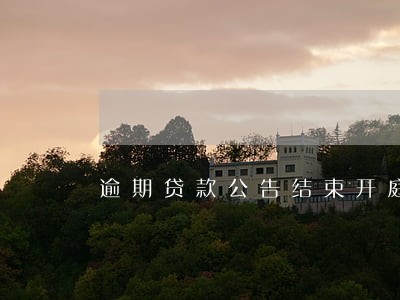 逾期贷款公告结束开庭一审
