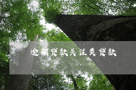逾期贷款关注类贷款 逾期贷款关注类贷款