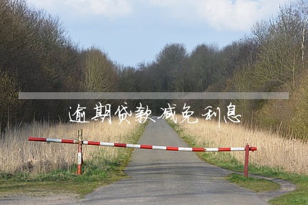 逾期贷款减免利息