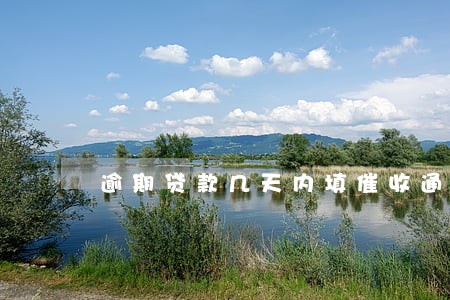逾期贷款几天内填催收通知书 逾期贷款几天内填催收通知书