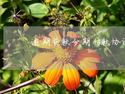 逾期贷款分期付款协议编号