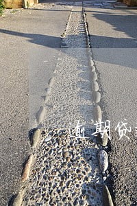 逾期贷款分期还款计算表格
