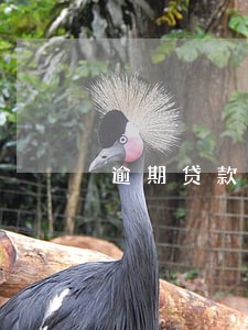 逾期贷款分析方法