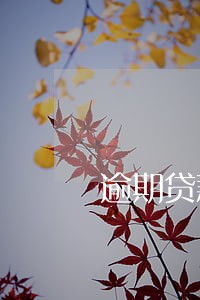 逾期贷款分类标准 逾期贷款分类标准