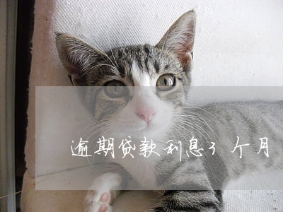 逾期贷款利息3个月