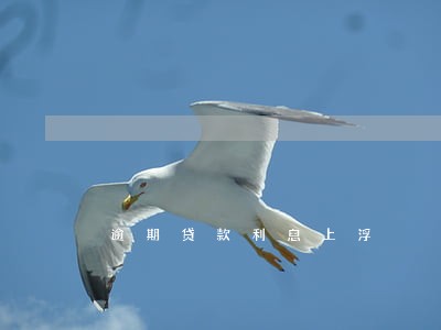 逾期贷款利息上浮 逾期贷款利息上浮