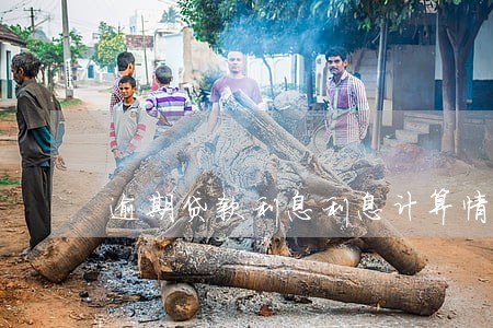逾期贷款利息利息计算情形 逾期贷款利息利息计算情形