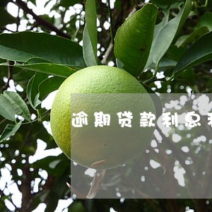 逾期贷款利息利率2016 逾期贷款利息利率2016
