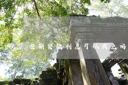 逾期贷款利息可以减免吗 逾期贷款利息可以减免吗