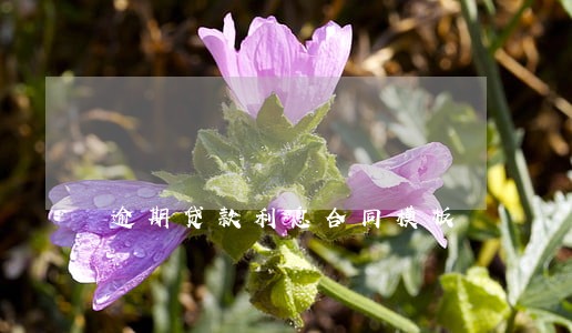 逾期贷款利息合同模板 逾期贷款利息合同模板