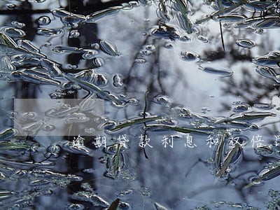 逾期贷款利息和双倍罚息 逾期贷款利息和双倍罚息