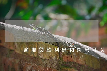 逾期贷款利息和罚息可以扣除吗 逾期贷款利息和罚息可以扣除吗