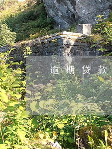 逾期贷款利息和罚息土地增值税 逾期贷款利息和罚息土地增值税