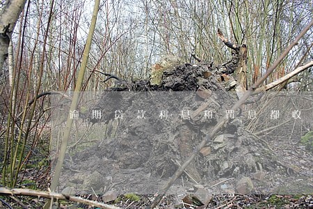 逾期贷款利息和罚息都收吗 逾期贷款利息和罚息都收吗