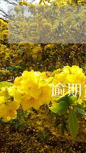 逾期贷款利息土地增值税扣除 逾期贷款利息土地增值税扣除