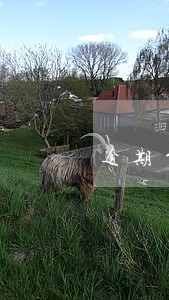 逾期贷款利息多久会联系家人 逾期贷款利息多久会联系家人