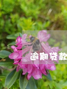 逾期贷款利息怎么做分录 逾期贷款利息怎么做分录