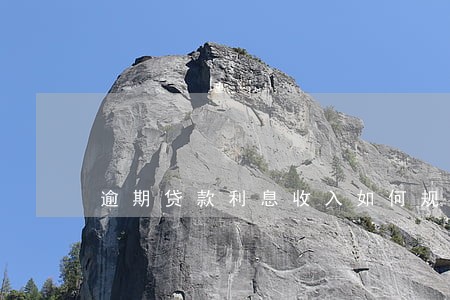 逾期贷款利息收入如何规定 逾期贷款利息收入如何规定