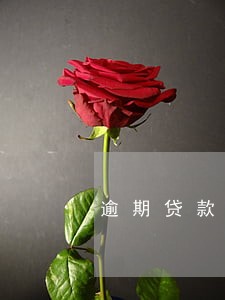 逾期贷款利息收入的增值税