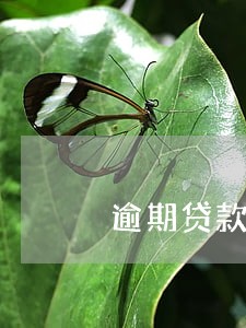 逾期贷款利息收入的确认条件 逾期贷款利息收入的确认条件