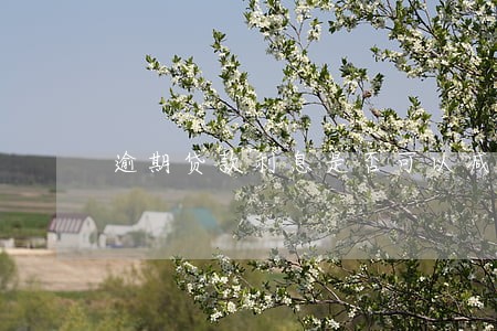 逾期贷款利息是否可以减免