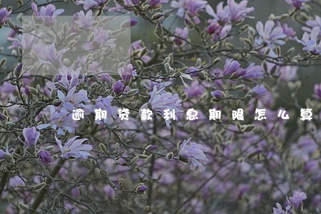 逾期贷款利息期限怎么算 逾期贷款利息期限怎么算
