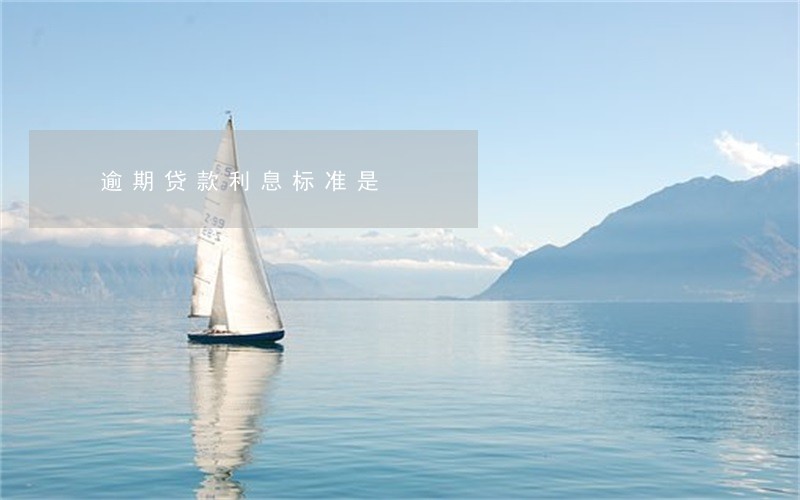 逾期贷款利息标准是 逾期贷款利息标准是