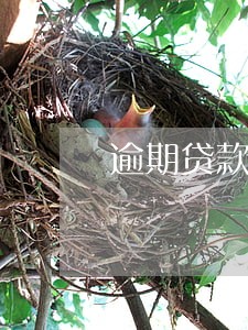 逾期贷款利息法律规定 逾期贷款利息法律规定