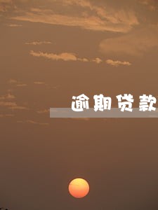逾期贷款利息的标准计算逾期