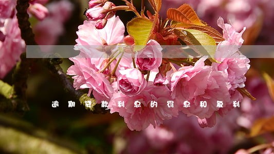 逾期贷款利息的罚息和复利