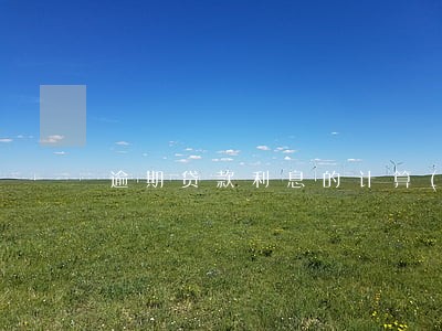 逾期贷款利息的计算()