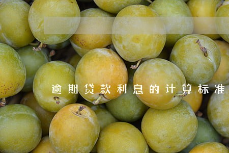 逾期贷款利息的计算标准 逾期贷款利息的计算标准