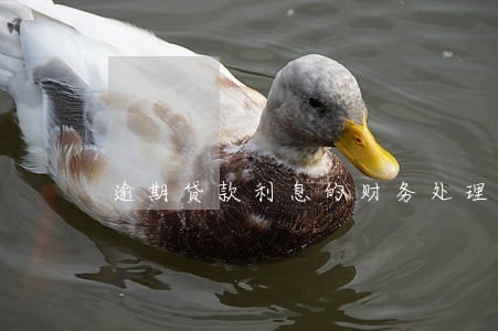 逾期贷款利息的财务处理 逾期贷款利息的财务处理