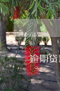 逾期贷款利息确认的原则 逾期贷款利息确认的原则