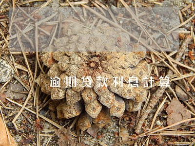逾期贷款利息計算