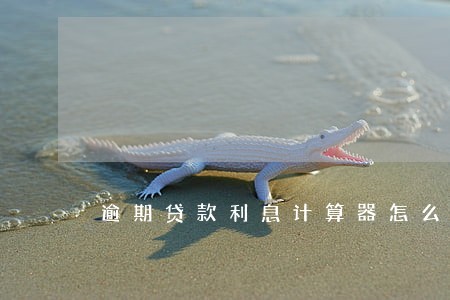 逾期贷款利息计算器怎么下载