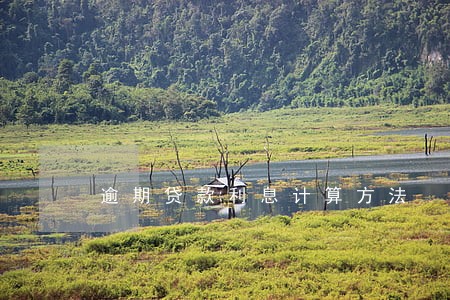 逾期贷款利息计算方法
