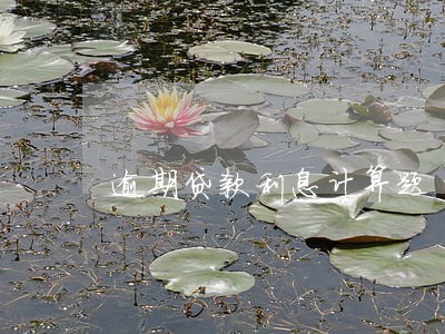 逾期贷款利息计算题 逾期贷款利息计算题