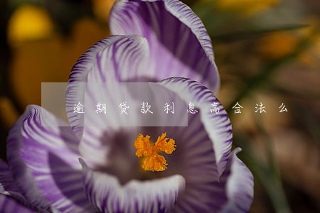 逾期贷款利息高合法么 逾期贷款利息高合法么