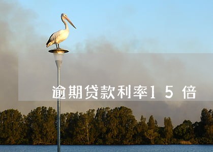 逾期贷款利率15倍