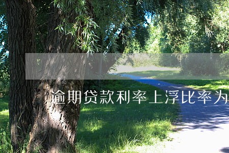 逾期贷款利率上浮比率为 逾期贷款利率上浮比率为