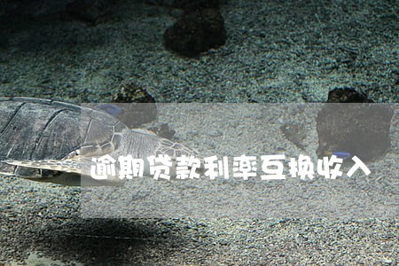 逾期贷款利率互换收入 逾期贷款利率互换收入