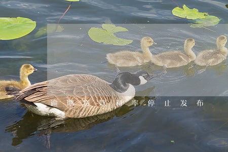 逾期贷款利率停止发布