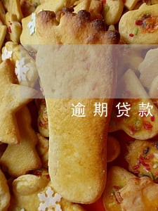 逾期贷款利率执行标准 逾期贷款利率执行标准