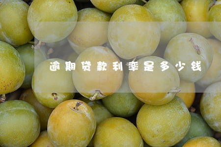 逾期贷款利率是多少钱