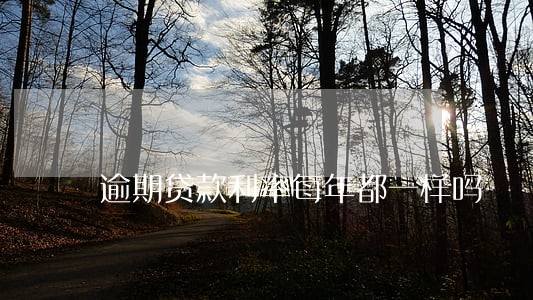 逾期贷款利率每年都一样吗 逾期贷款利率每年都一样吗