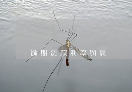 逾期贷款利率罚息 逾期贷款利率罚息