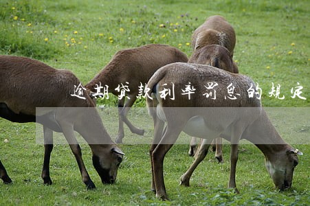 逾期贷款利率罚息的规定 逾期贷款利率罚息的规定