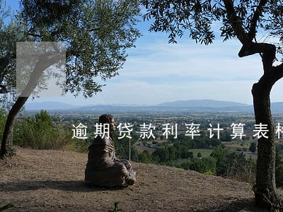 逾期贷款利率计算表格 逾期贷款利率计算表格