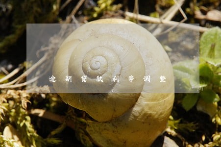 逾期贷款利率调整 逾期贷款利率调整